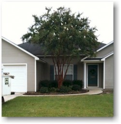 Proper Tree Pruning AFTER
